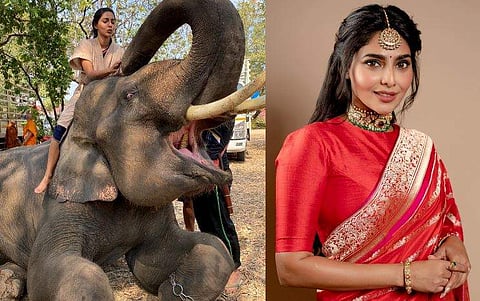 ചിത്രം: ഫേയ്സ്ബുക്ക്