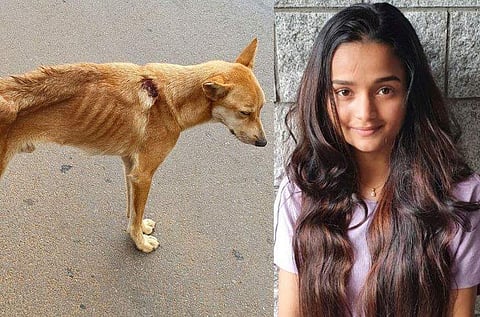 ചിത്രം: ഫേയ്സ്ബുക്ക്