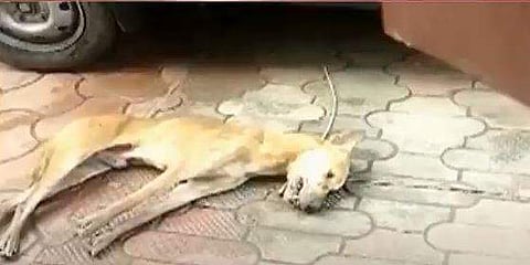 പ്രതീകാത്മക ചിത്രം