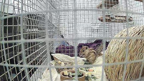 PHOTO CREDIT: THE NEW ARC