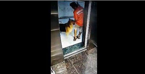 വീഡിയോ ദൃശ്യം