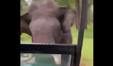 ജീപ്പിന് നേരെ പാഞ്ഞടുക്കുന്ന കാട്ടാനയുടെ ദൃശ്യം