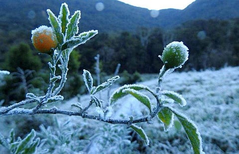 ഫയല്‍ ചിത്രം
