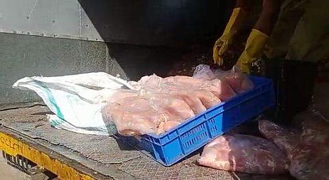 പിടികൂടിയ പഴയ ഇറച്ചി നഗരസഭയുടെ വാഹനത്തിലേക്കു മാറ്റുന്നു/വിഡിയോ ദൃശ്യം