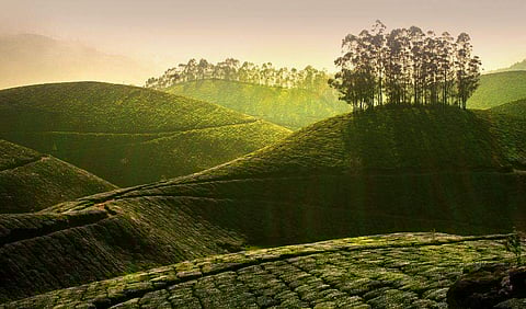 പ്രതീകാത്മക ചിത്രം