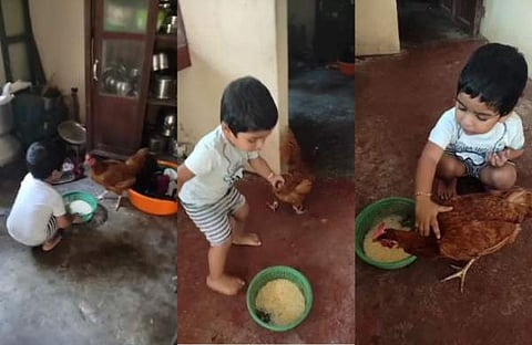 വിഡിയോ സ്ക്രീൻഷോട്ട്