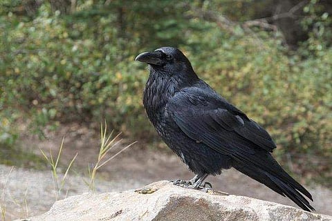 പ്രതീകാത്മക ചിത്രം