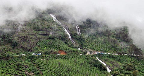 മൂന്നാറിൽ മഞ്ഞുവീഴ്ച/ ഫയല്‍ ചിത്രം