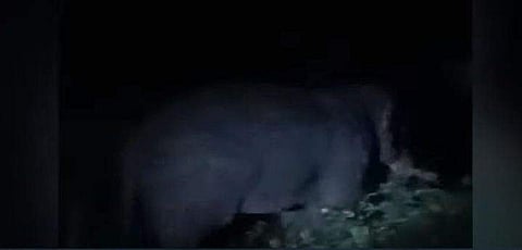 പി ടി സെവന്‍/ ടിവി ദൃശ്യം