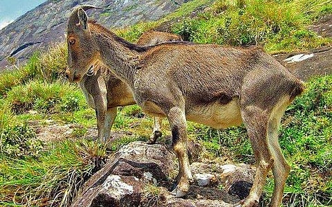 പ്രതീകാത്മക ചിത്രം