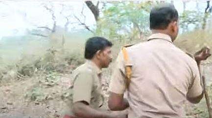 പിടി സെവനെ പിടികൂടാന്‍ എത്തിയ ദൗത്യസംഘം, സ്‌ക്രീന്‍ഷോട്ട്‌