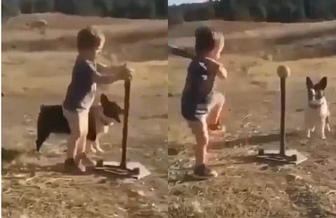 വിഡിയോ സ്‌ക്രീന്‍ഷോട്ട്‌