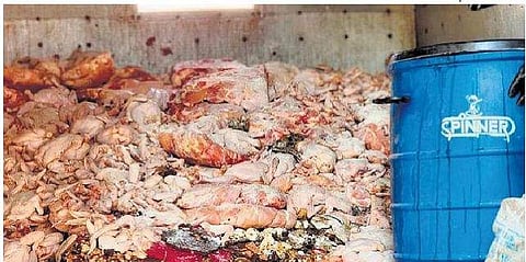 ഫയല്‍ ചിത്രം