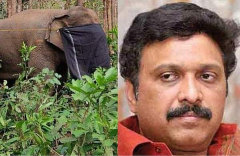 പിടി സെവനെ പിടിച്ചപ്പോൾ, ​ഗണേഷ് കുമാർ/ ഫയൽ ചിത്രം