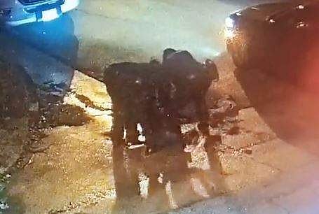 നിക്കോള്‍സിനെ മര്‍ദ്ദിക്കുന്ന ദൃശ്യം, സ്‌ക്രീന്‍ഷോട്ട്‌