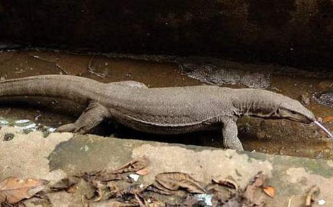 പ്രതീകാത്മക ചിത്രം