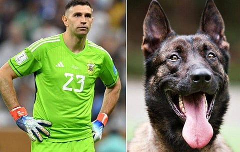 ഫോട്ടോ: ട്വിറ്റർ