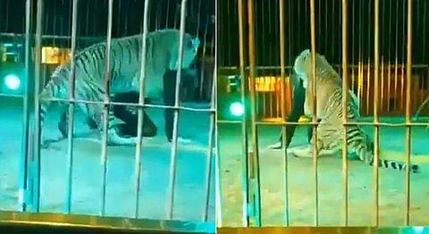 വീഡിയോ ദൃശ്യം