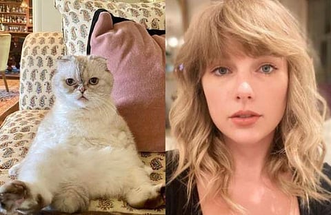 ചിത്രം; ഇൻസ്റ്റ​ഗ്രാം