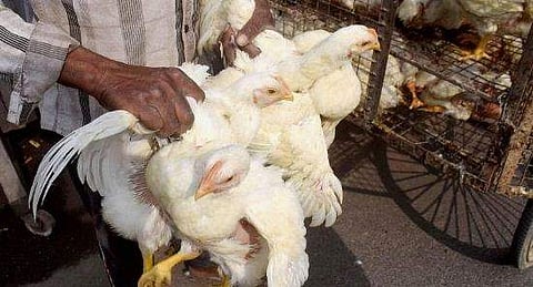 പ്രതീകാത്മക ചിത്രം