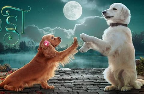 വാലാട്ടി പോസ്റ്റർ