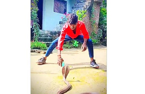 മൂര്‍ഖന്റെ മുന്നില്‍ ഡാന്‍സ് കളിക്കുന്ന യുവാവിന്റെ ദൃശ്യം