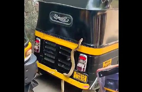 ഓട്ടോയുടെ മുകളിലേക്ക് കയറാന്‍ ശ്രമിക്കുന്ന പാമ്പിന്റെ ദൃശ്യം