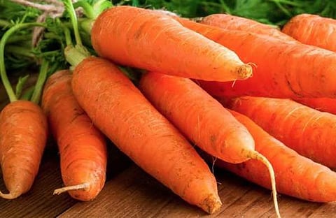 പ്രതീകാത്മക ചിത്രം