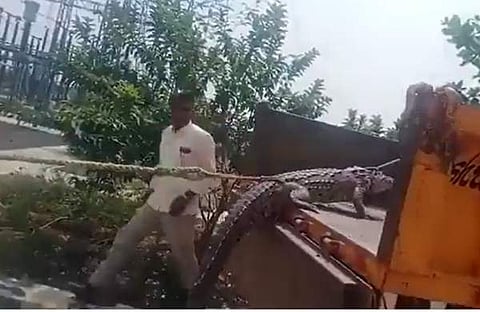 പിടികൂടിയ മുതലയുമായി കര്‍ഷകര്‍