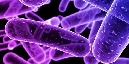 പ്രതീകാത്മക ചിത്രം