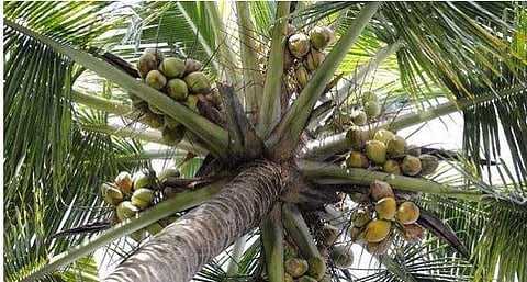 പ്രതീകാത്മക ചിത്രം