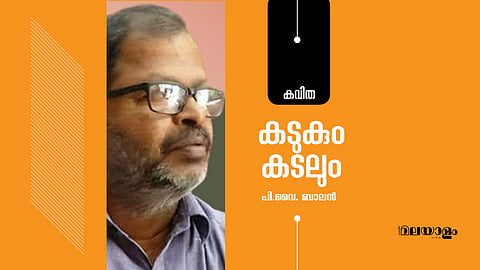 കടുകും കടലും