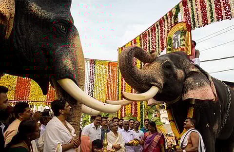 കേശവ പ്രതിമക്ക് മുമ്പില്‍ വണങ്ങുന്ന കൊമ്പന്‍ ഇന്ദ്രസെന്‍