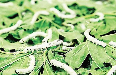 ഫയല്‍ ചിത്രം