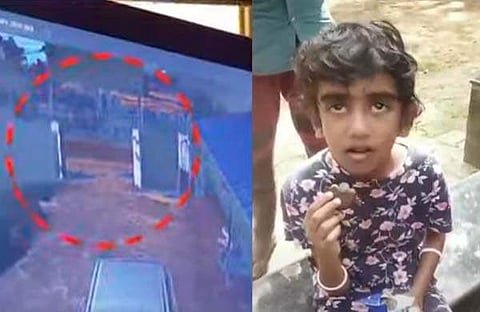 സിസിടിവി ദൃശ്യം, അബി​ഗേൽ/ ടിവി ദൃശ്യം