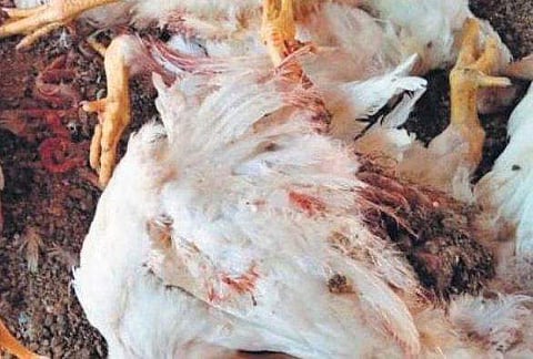 പ്രതീകാത്മക ചിത്രം