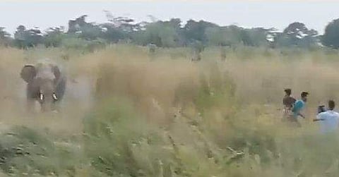 നാട്ടുകാരെ ഓടിച്ചിടുന്ന കാട്ടാനയുടെ ദൃശ്യം