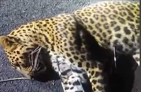 ടെലിവിഷൻ ദൃശ്യം