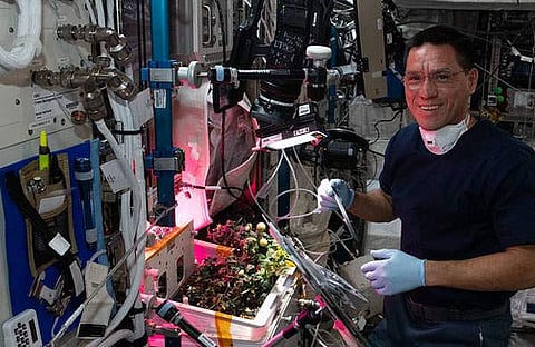 ഫ്രാങ്ക് റൂബിയോ /നാസ