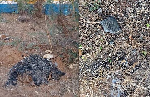 മൊബൈൽ ഫോണുകൾ കത്തിച്ച നിലയിൽ/ എഎൻഐ