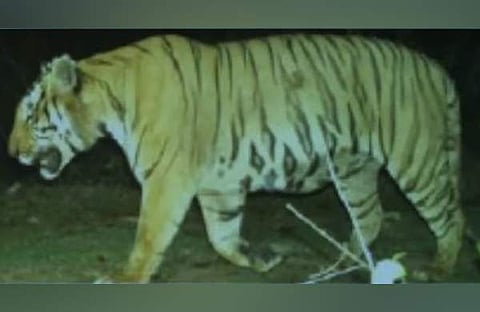 പ്രതീകാത്മക ചിത്രം/ ഫയൽ