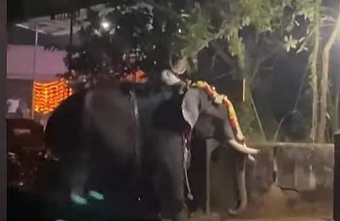 ഉത്സവത്തിനിടെ ആന ഇടഞ്ഞപ്പോൾ/ ടിവി ദൃശ്യം