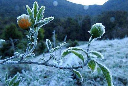 മൂന്നാർ/ ഫയല്‍ ചിത്രം