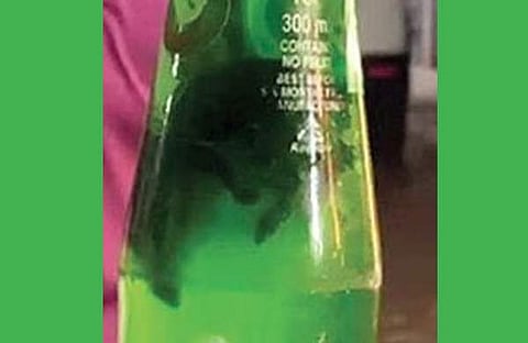 ചത്ത എലിയെ കണ്ടത്തിയ സോഡ