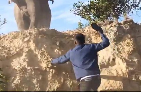 കാട്ടാനയെ പ്രകോപിപ്പിക്കാൻ ശ്രമിക്കുന്ന യുവാവിന്റെ ദൃശ്യം