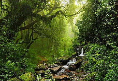 ചിത്രം: ട്വിറ്റര്‍