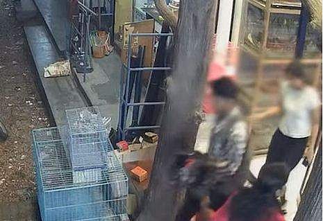 കടയില്‍ നിന്ന് നായയെ മോഷ്ടിച്ച് പോകുന്നതിന്റെ സിസിടിവി ദൃശ്യം