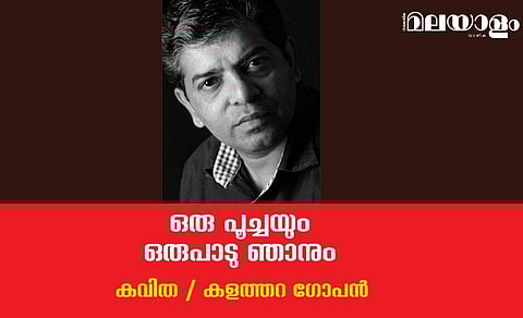 'ഒരു പൂച്ചയും ഒരുപാടു ഞാനും'- കളത്തറ ഗോപന്‍ എഴുതിയ കവിത