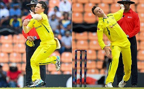 മിച്ചൽ സ്വെപ്സൻ, മാത്യു കുനെമൻ/ എഎഫ്പി