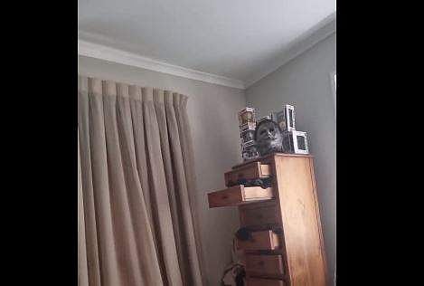 ന്യൂസിലന്‍ഡിലെ ഭൂചലനത്തില്‍ വീട്ടുസാധനങ്ങള്‍ കുലുങ്ങുന്ന ദൃശ്യം